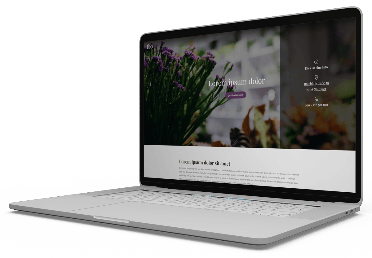 Website mockup iba